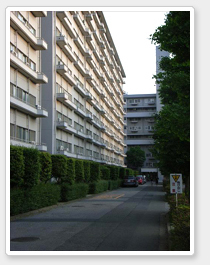 リノベーション施行中