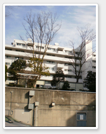 吉祥寺テラハウスの外観写真